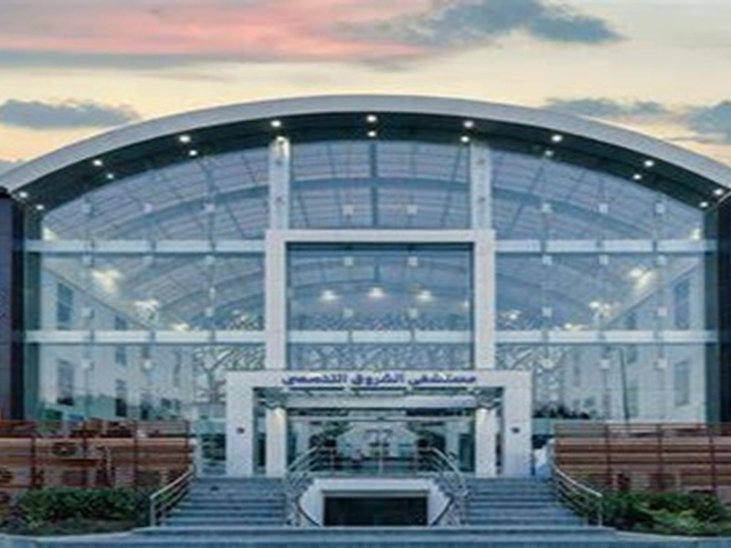 Renovation Of Shorouk Hospital